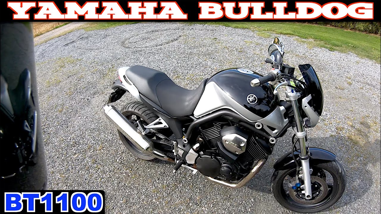 Yamaha BT1100 Bulldog - тестовая поездка и технические характеристики