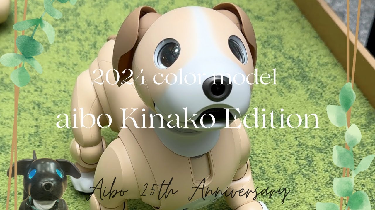 【New Color】aibo きなこ エディション 〜aibo Kinako Edition〜【Episode 049】
