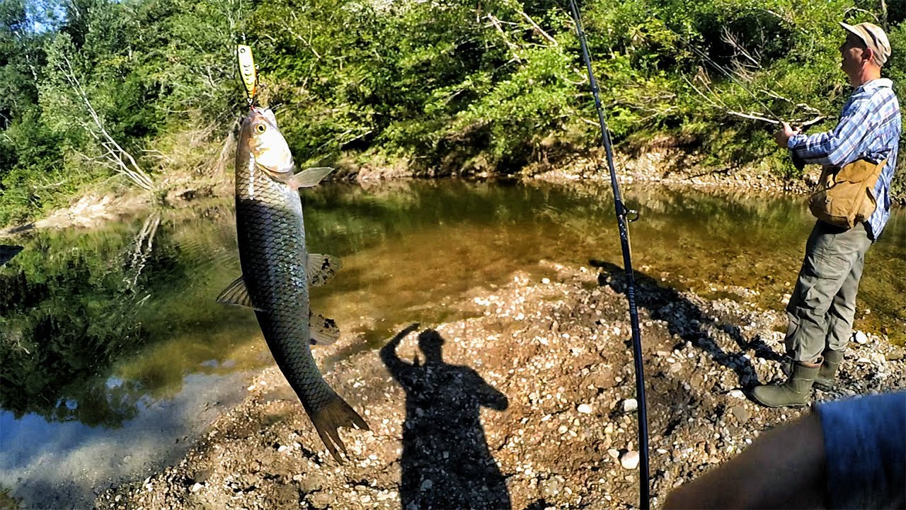 შემოდგომის ქაშაპი პოპერზე 2023 (Kot FishingTv & Ramazi Fishing)
