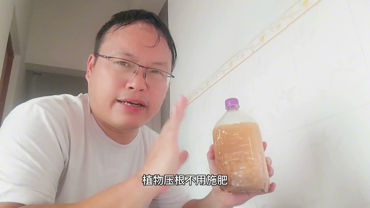 肥料一堆不如“黄豆”一把？黄豆肥（养花）原来这么厉害！