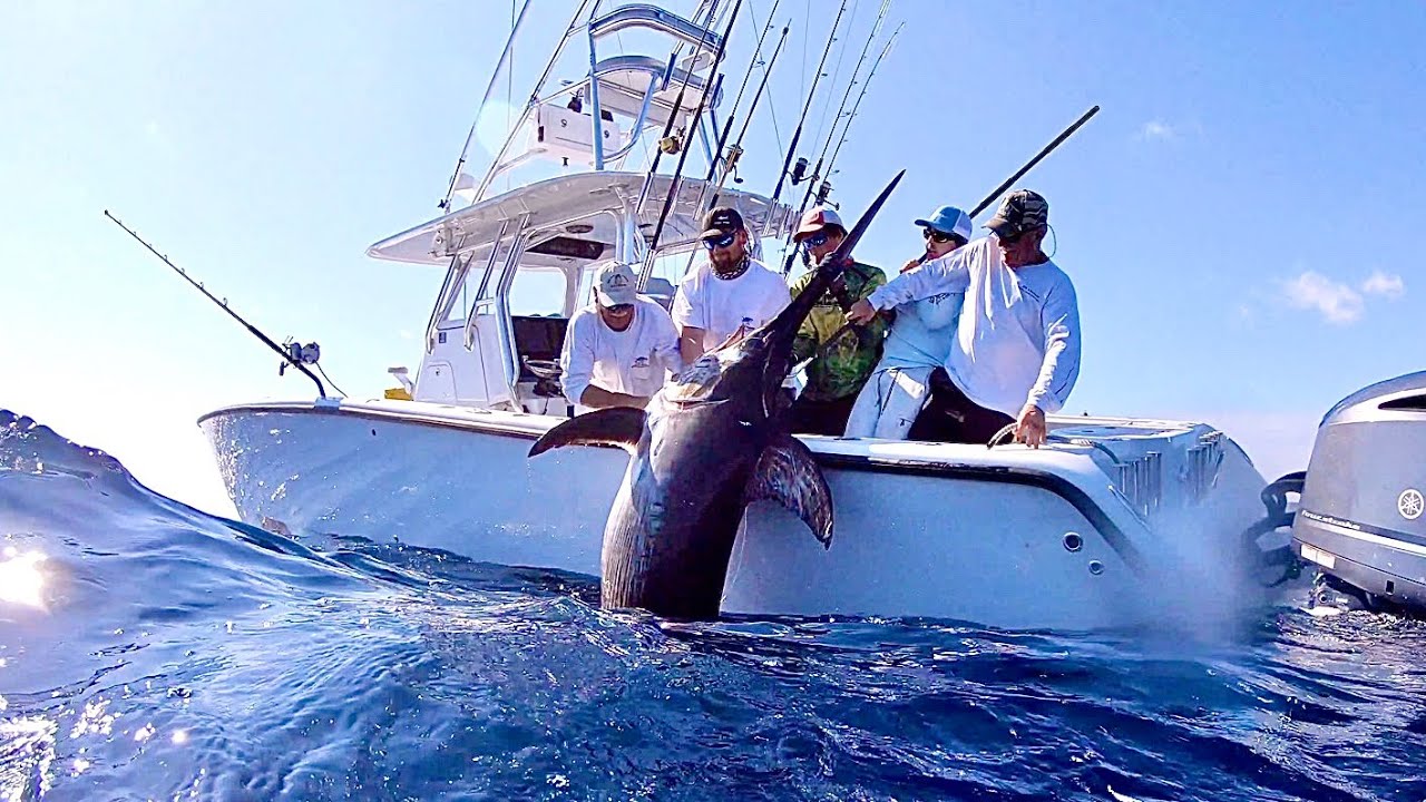 Near *QUARTER TON* Swordfish with Capt. Nick Stanczyk! Catch Clean and Cook