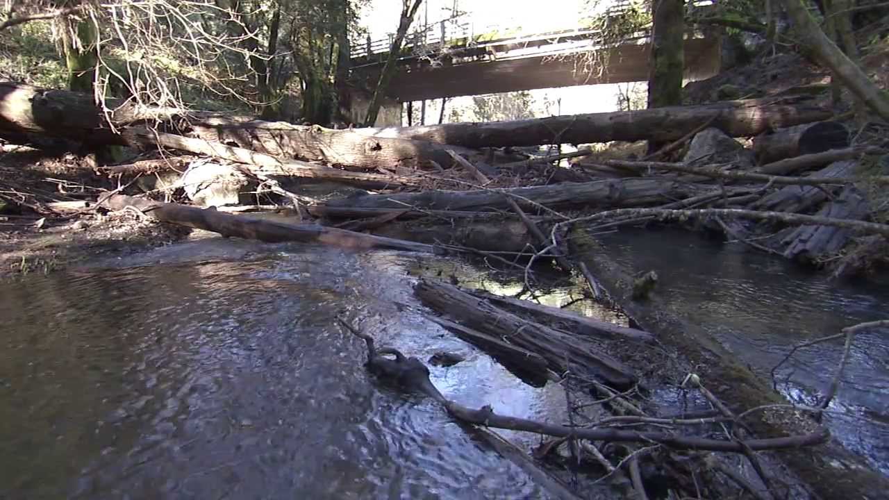 Russian River Restoration