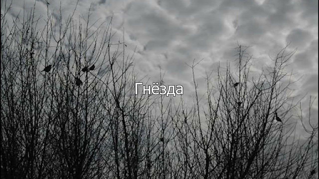[FREE] Post Punk, Молчат Дома, Буерак, Дурной Вкус Type Beat 
