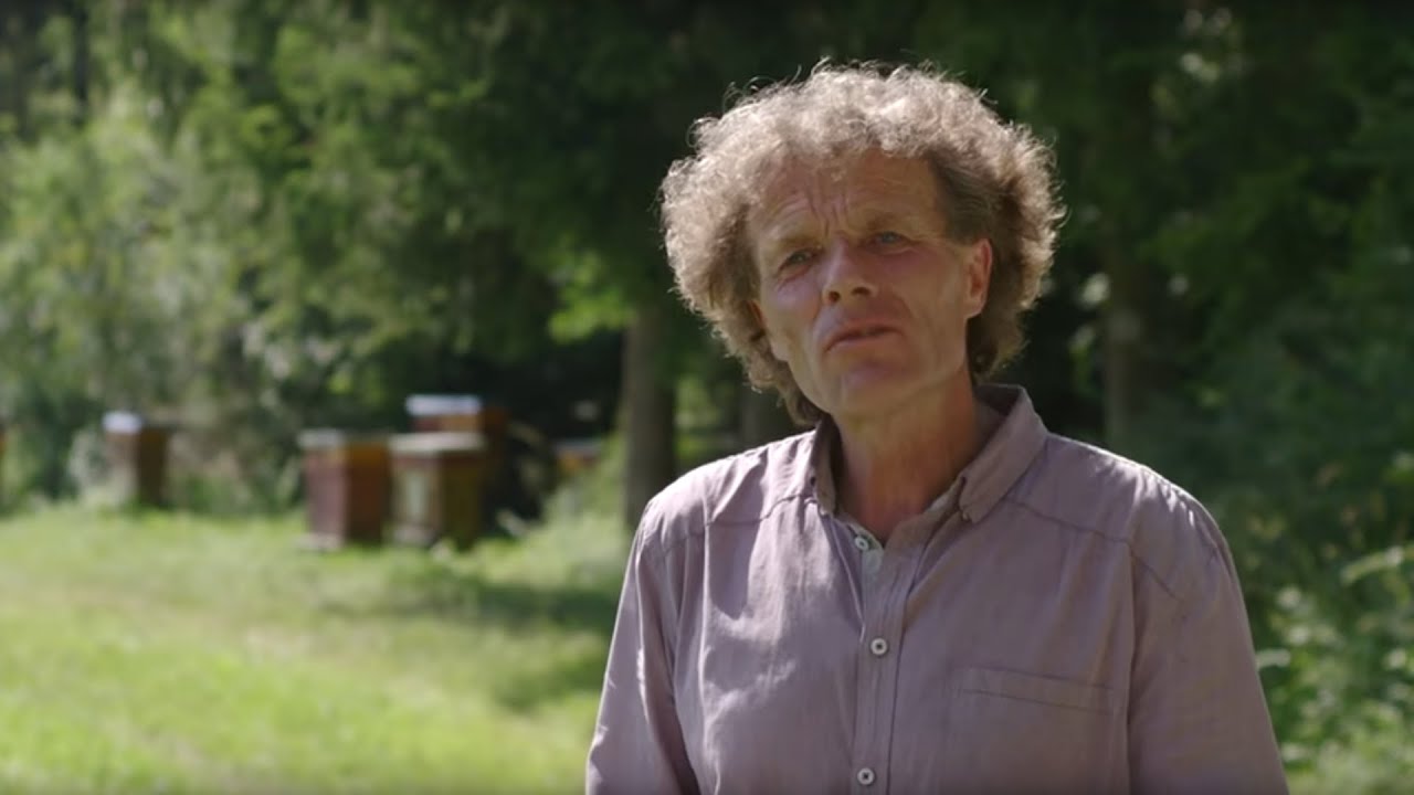 Was ist wesensgem&auml;&szlig;e Bienenhaltung?