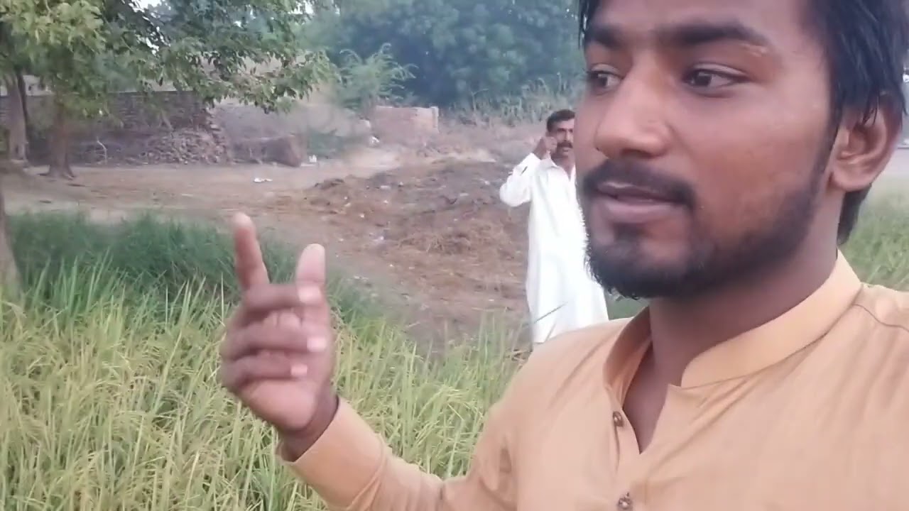 Morning Exercise
