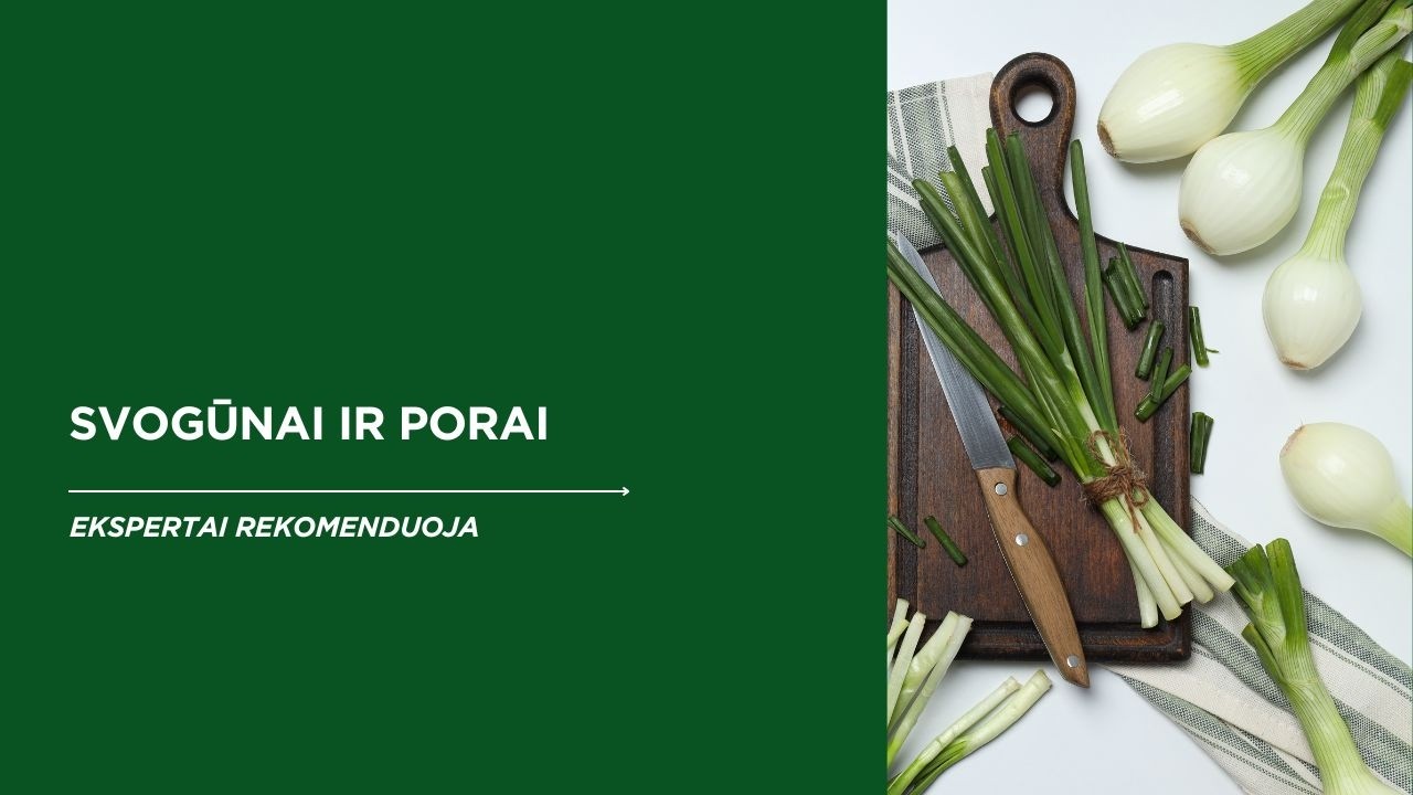 Svogūnai ir porai i&scaron; sėklų: TOP veislės + auginimo patarimai