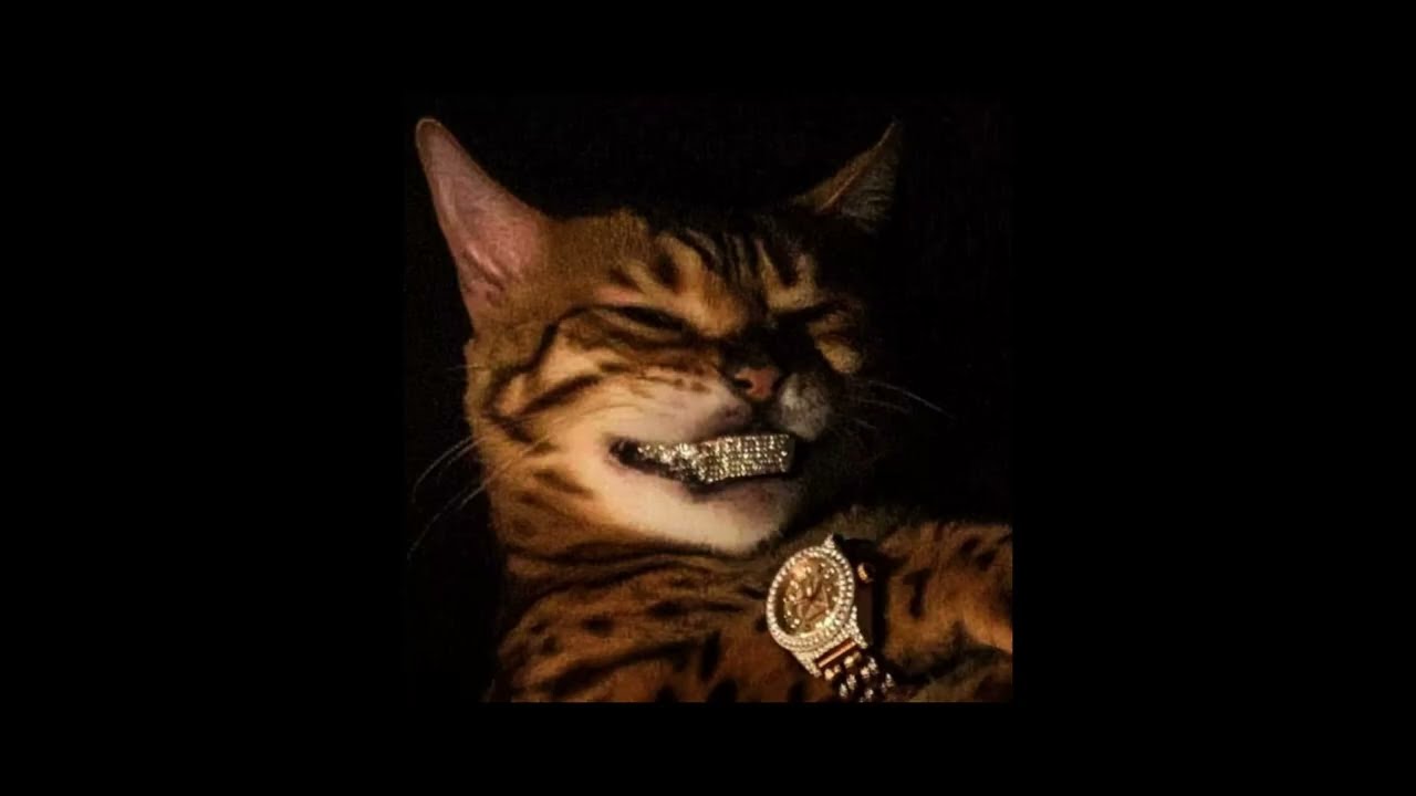 INSTRUMENTAL REGGAETON 