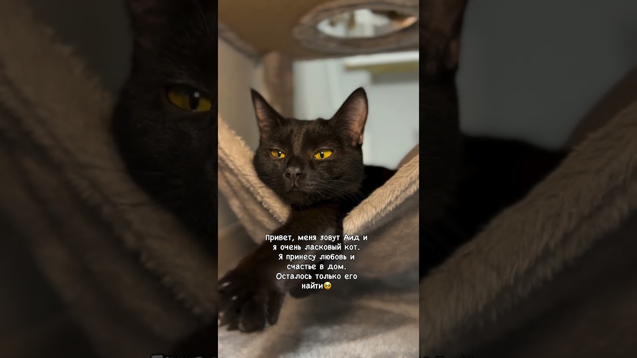 Доставка в другие города г.Саранск  +79271880201 телеграмм/вотсап, Тгк: Nstershova - подпишись 🙏🏻