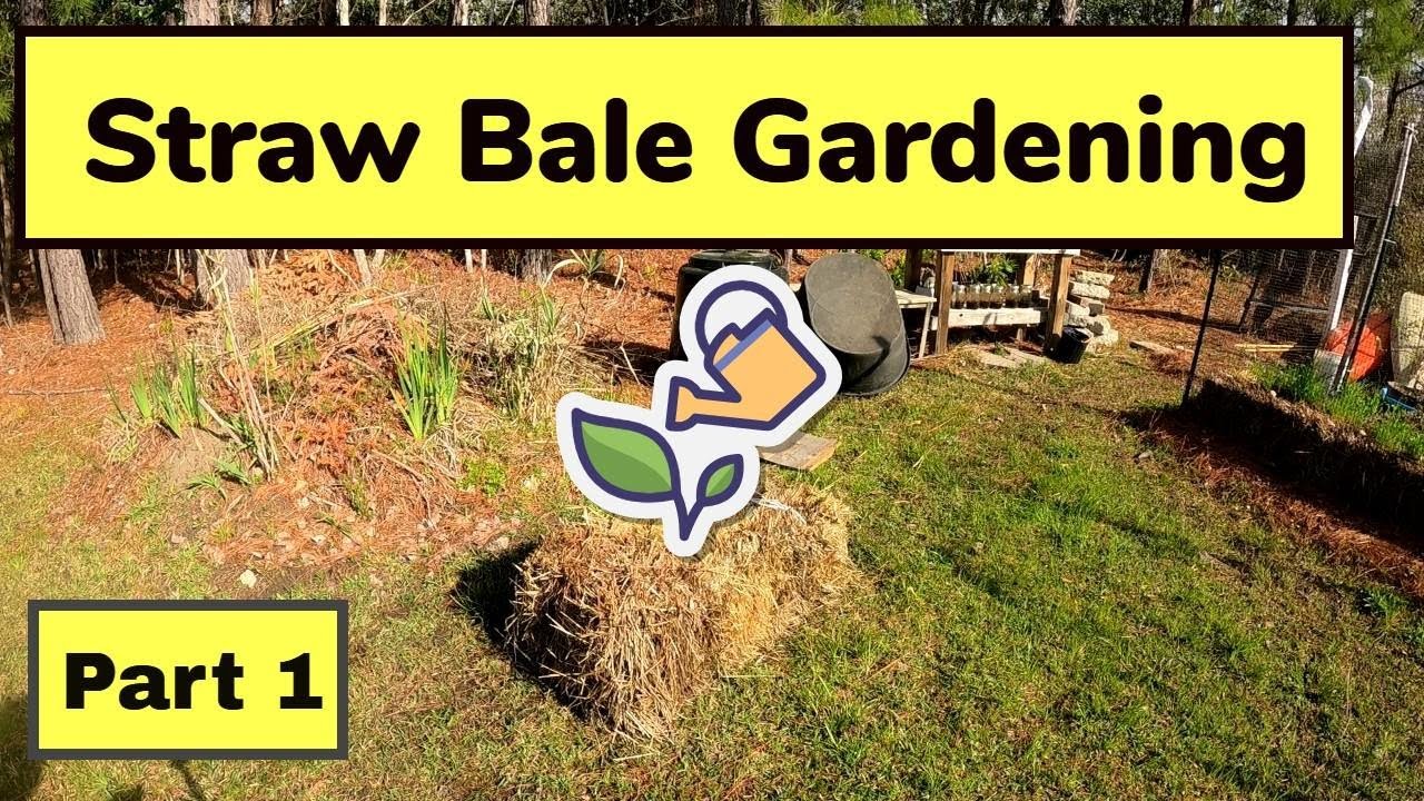 Straw Bale Gardening Part 1