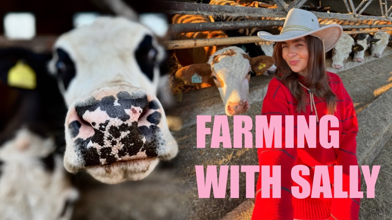 I QUIT EVERYTHING TO START WORKING ON THE FAMILY FARM - From Office Life to Farm Life