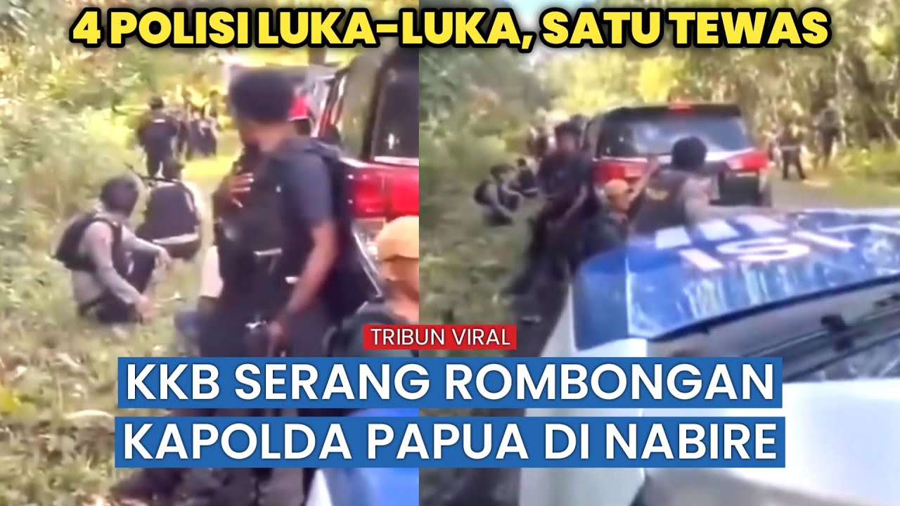 Aksi Brutal KKB di Nabire! Kapolda Papua Tengah Jadi Sasaran, Empat Polisi Terluka!