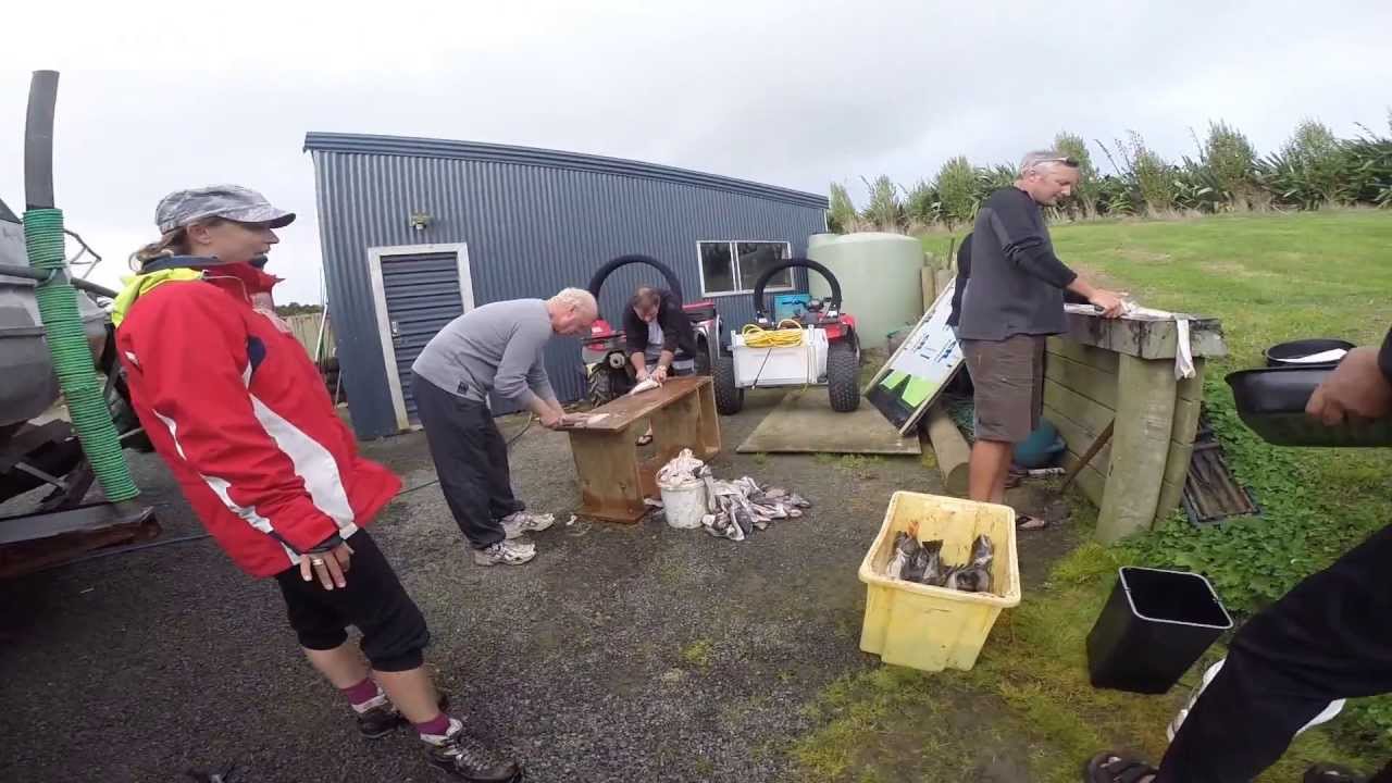 Chatham Island Adventure