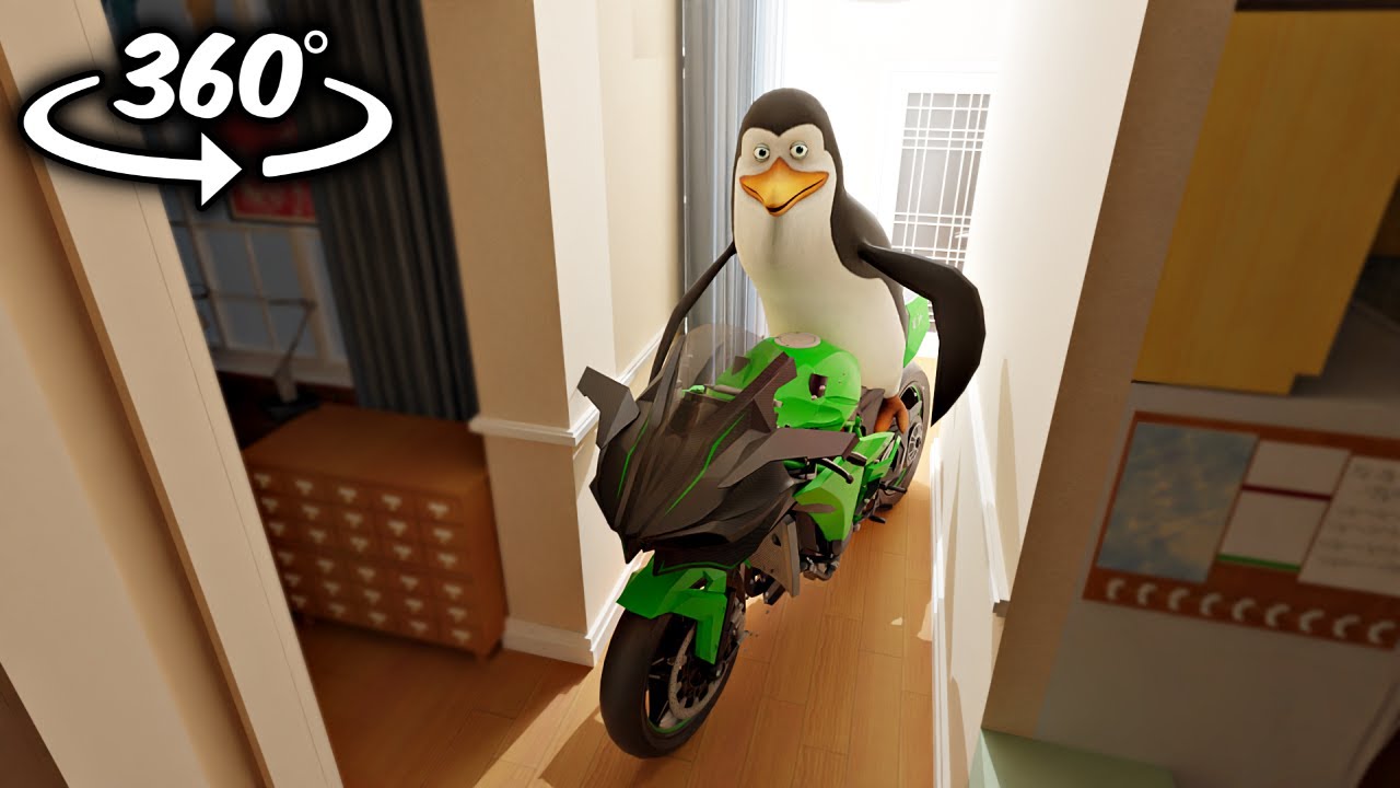 360° Los Pingüinos me la van a Mascar Breaks into Your House!