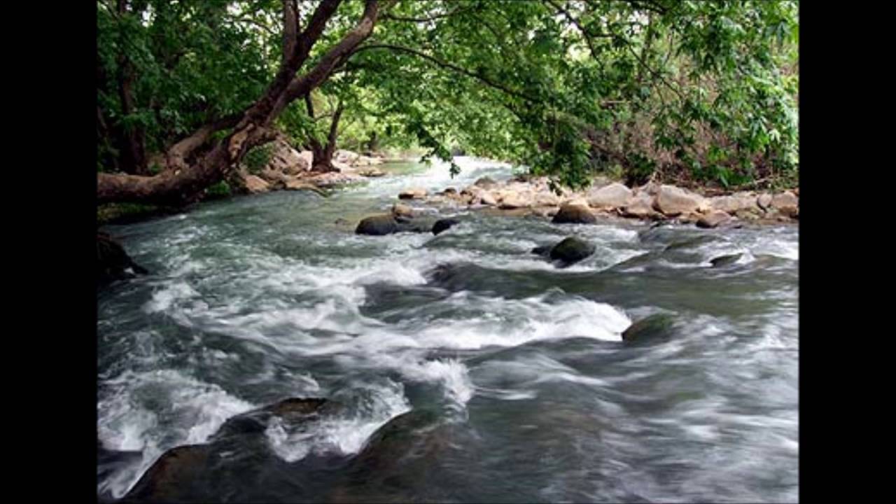 כאייל תערוג