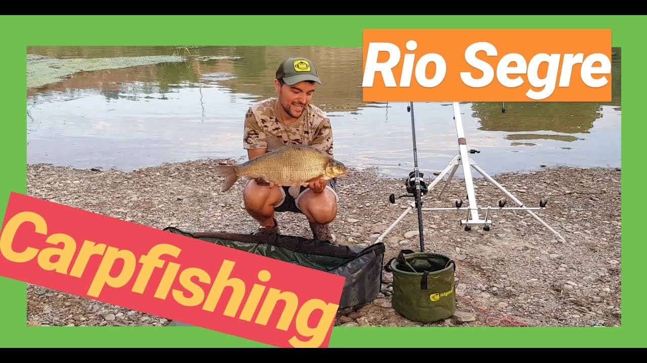 Pescando peces insolitos (Rio Segre),Carpfishing 2019