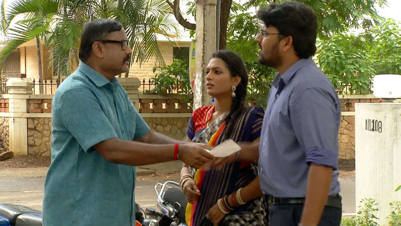 Priyamanaval Episode 246,  11/11/15