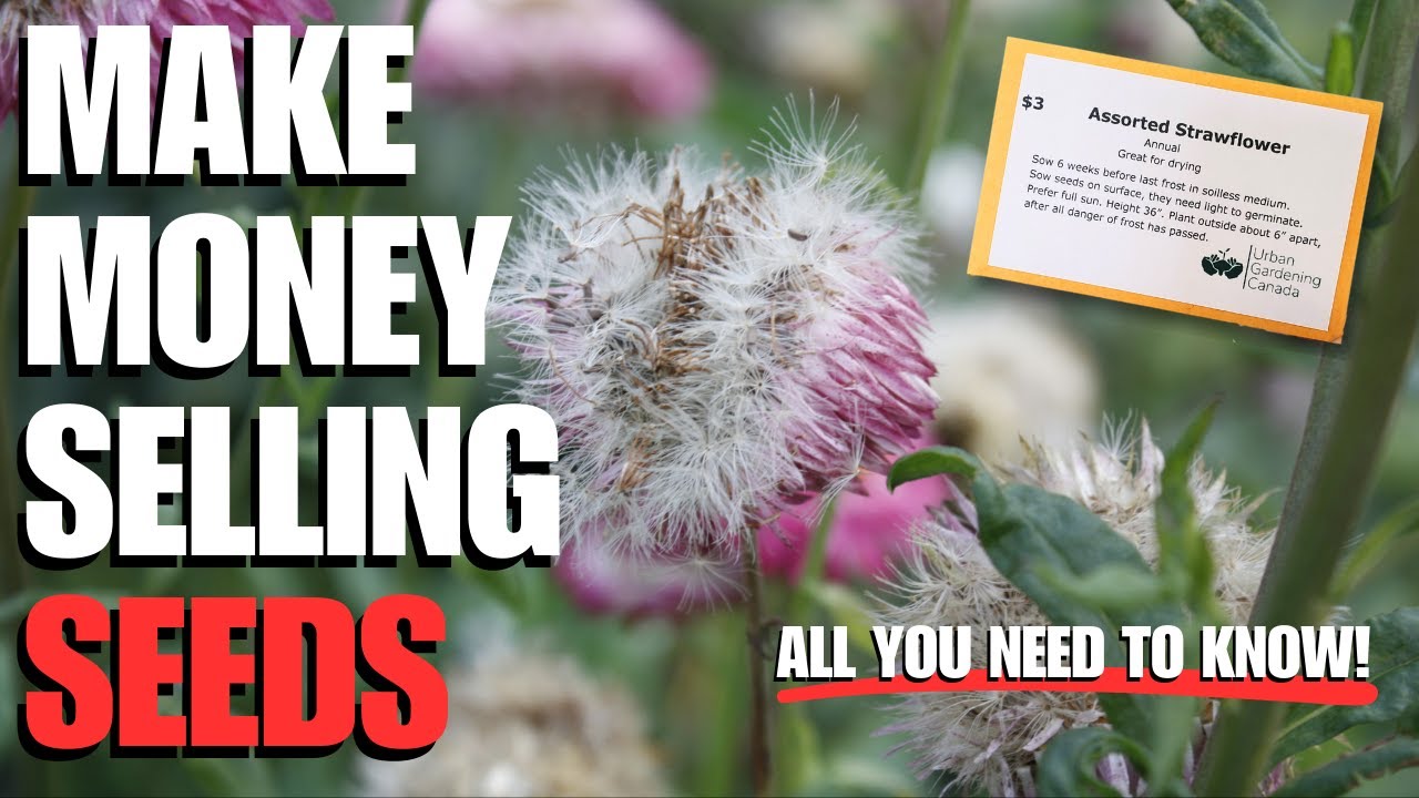 How to Make Money by Selling Seeds | Full Course | Side Hustle