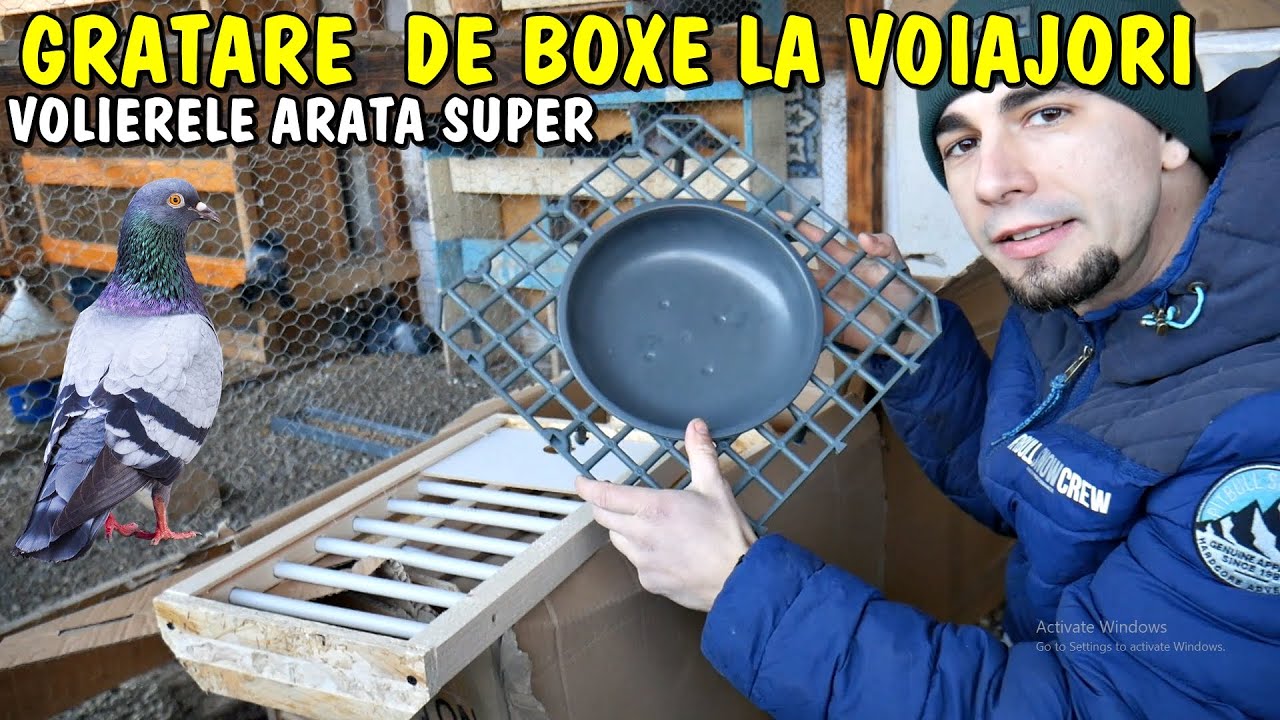 Am cumpărat grătare și fețe de Boxe la Voiajori - Puii au crescut - Viața la țară