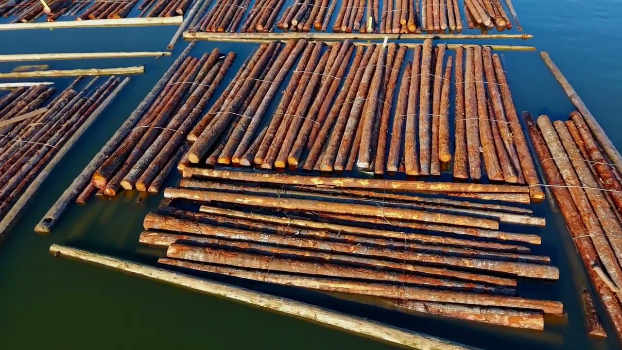 Log Booms on the Fraser