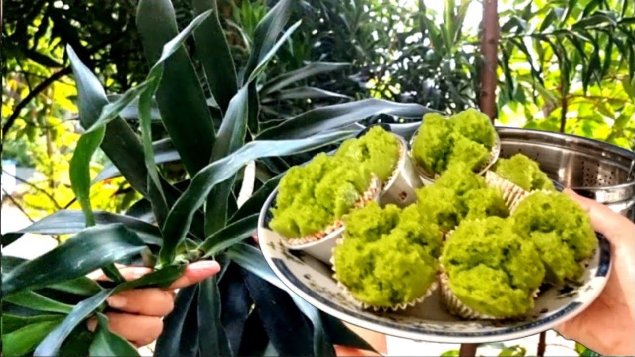 PETIK DAUN SUJI,PANDAN,BIKIN BOLU KUKUS MEKAR CANTIK,GURIH,LEMBUT ,ENAK