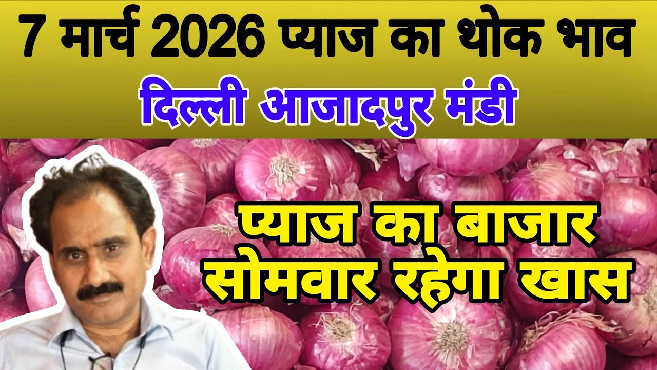 प्याज का बाजार सोमवार रहेगा खास | Today onion price | pyaj ka bhav #onionrate #pyaj #onion