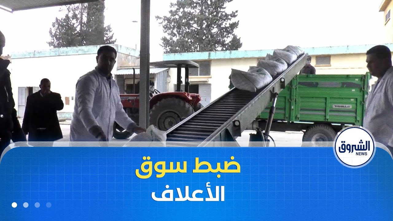 غرفة الأخبار | وزارة الفلاحة تضبط سوق الأعلاف.. إجراءات جديدة لخفض تكاليف إنتاج اللحوم الحمراء