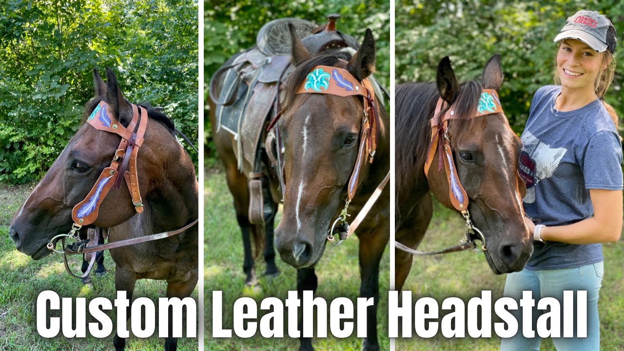 The Best Custom Leather Horse Headstalls: From Stray Dog Leather!