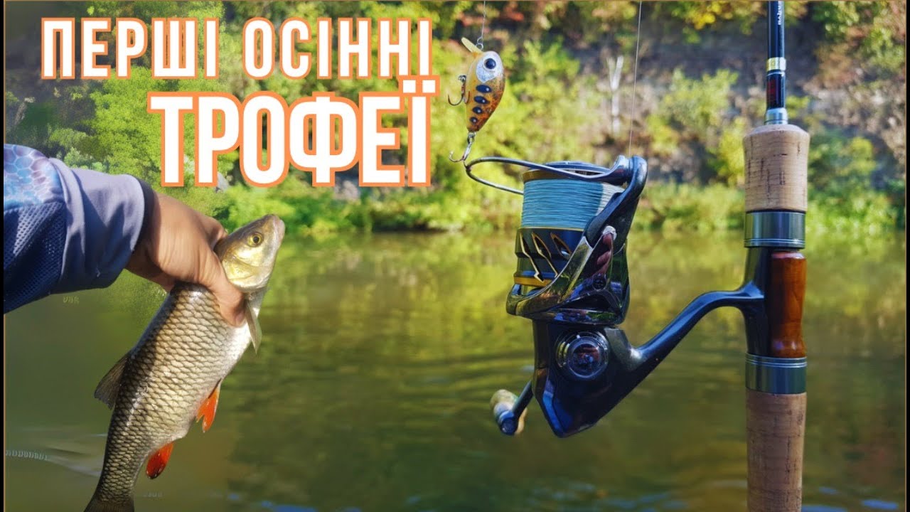 Перші осінні трофеї | Ранкова рибалка на Сереті