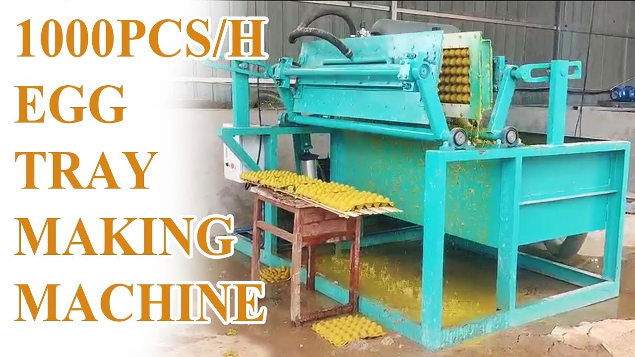 1000PCS/H egg tray machine for eco-friendly egg packaging production | Paper tray carton making