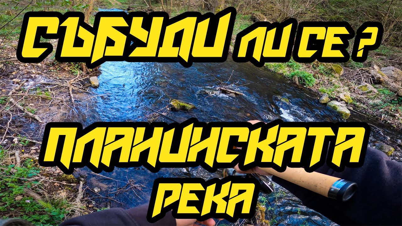 Риболов на ПЪСТЪРВА на ПЛАНИНСКА река РАНО ЛИ Е ОЩЕ ?