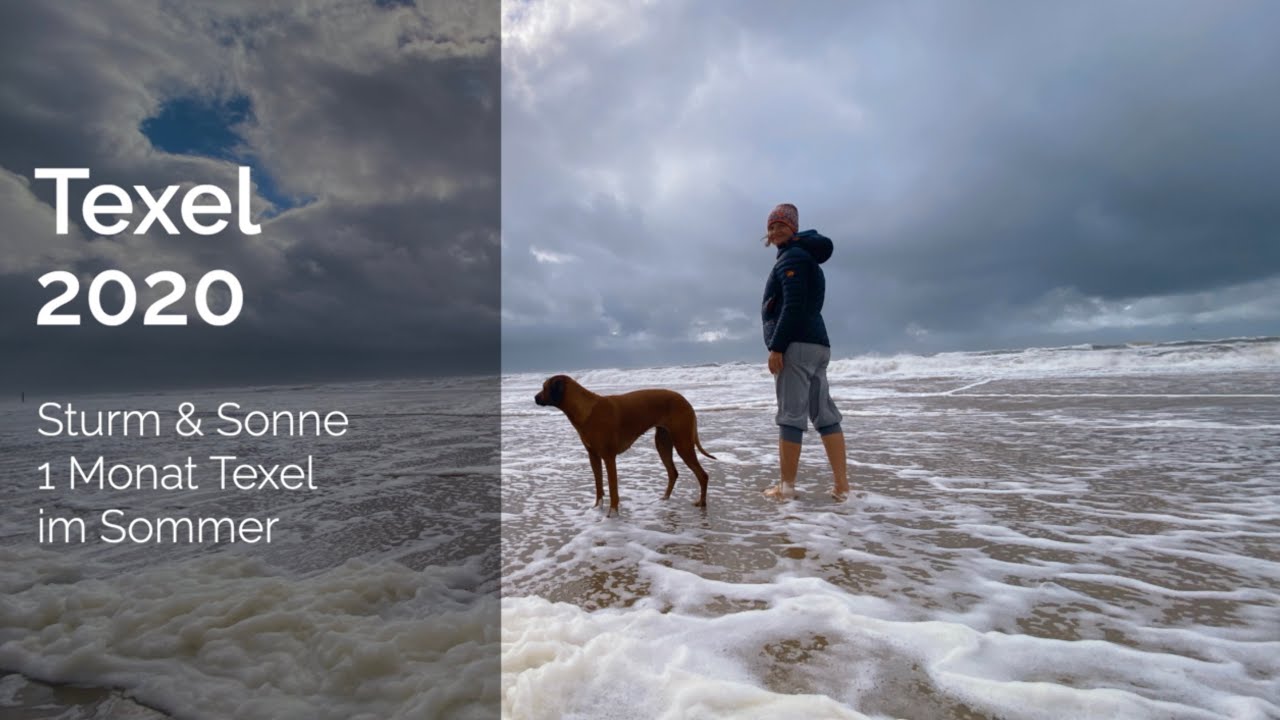 Texel 2020 - Sturm & Sonne