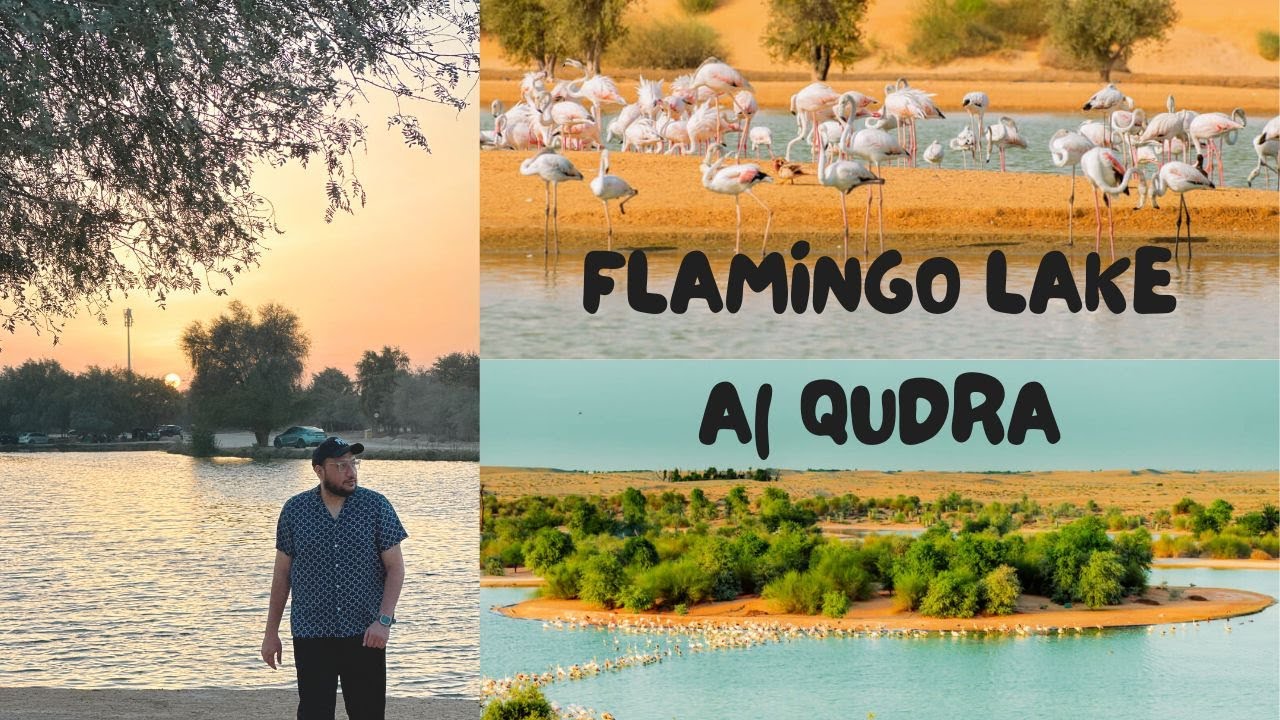 FLAMINGO LAKE | AL QUDRA DUBAI |