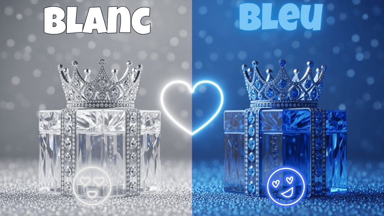 Choisis ton cadeau 🎁💙🤍 Défi 2 boîtes cadeaux || Édition Blanc vs Bleu 🤍💙 #vibestechcool