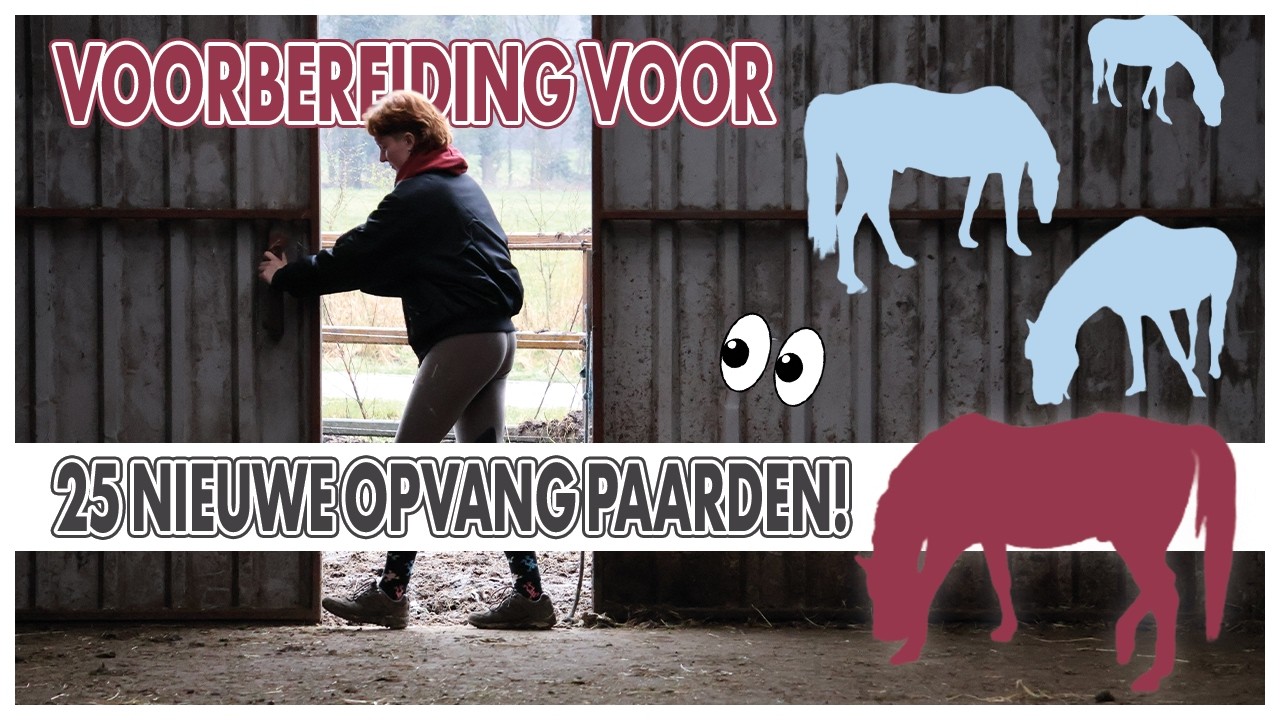 Voorbereiding voor 25 NIEUWE OPVANGPAARDEN || Paardzoektbaas