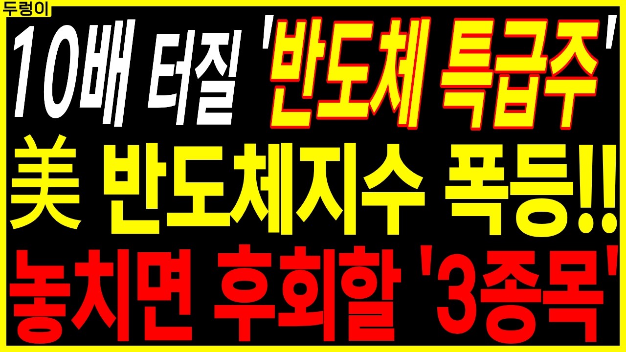 🌱반도체 대장주 주가전망🌱美 반도체지수 폭등!! 놓치면 후회할 '３종목' | 디에스경제속보 두렁이