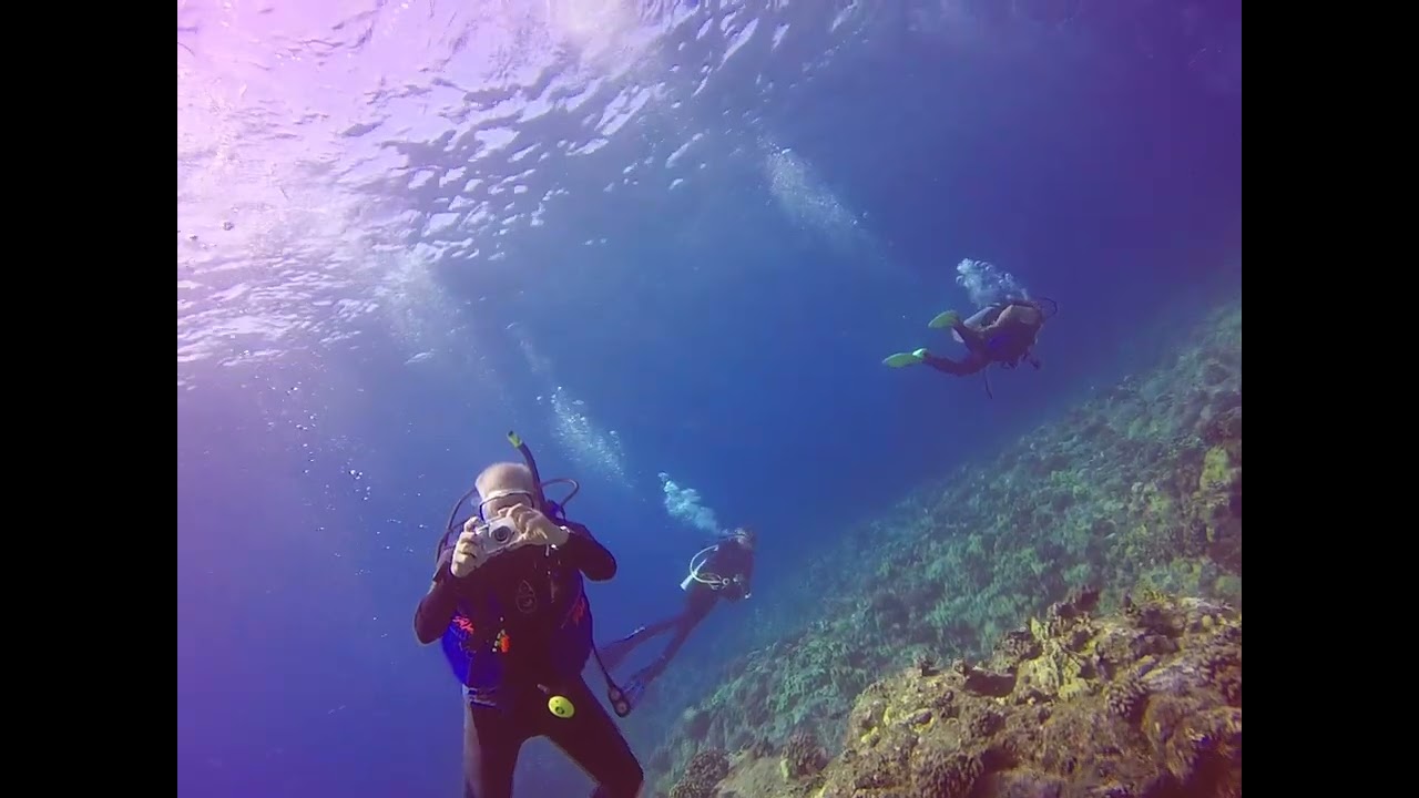 Scuba diving Kona Hawaii