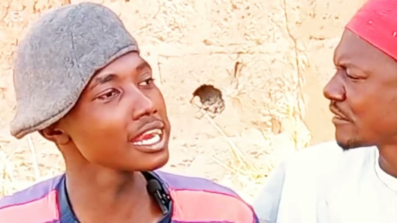 Shantali kaji karyar banza _majalisar Dan ilu