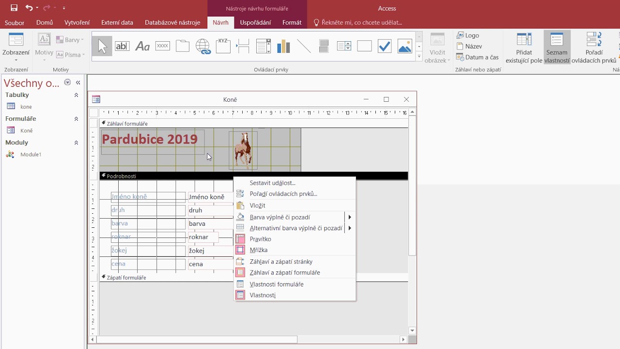 Microsoft Access - Tvorba formulářů