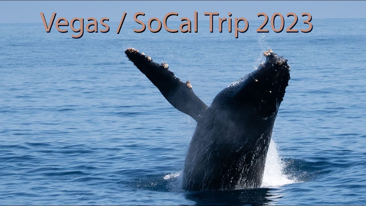 Vegas / Southern California Holiday 2023
