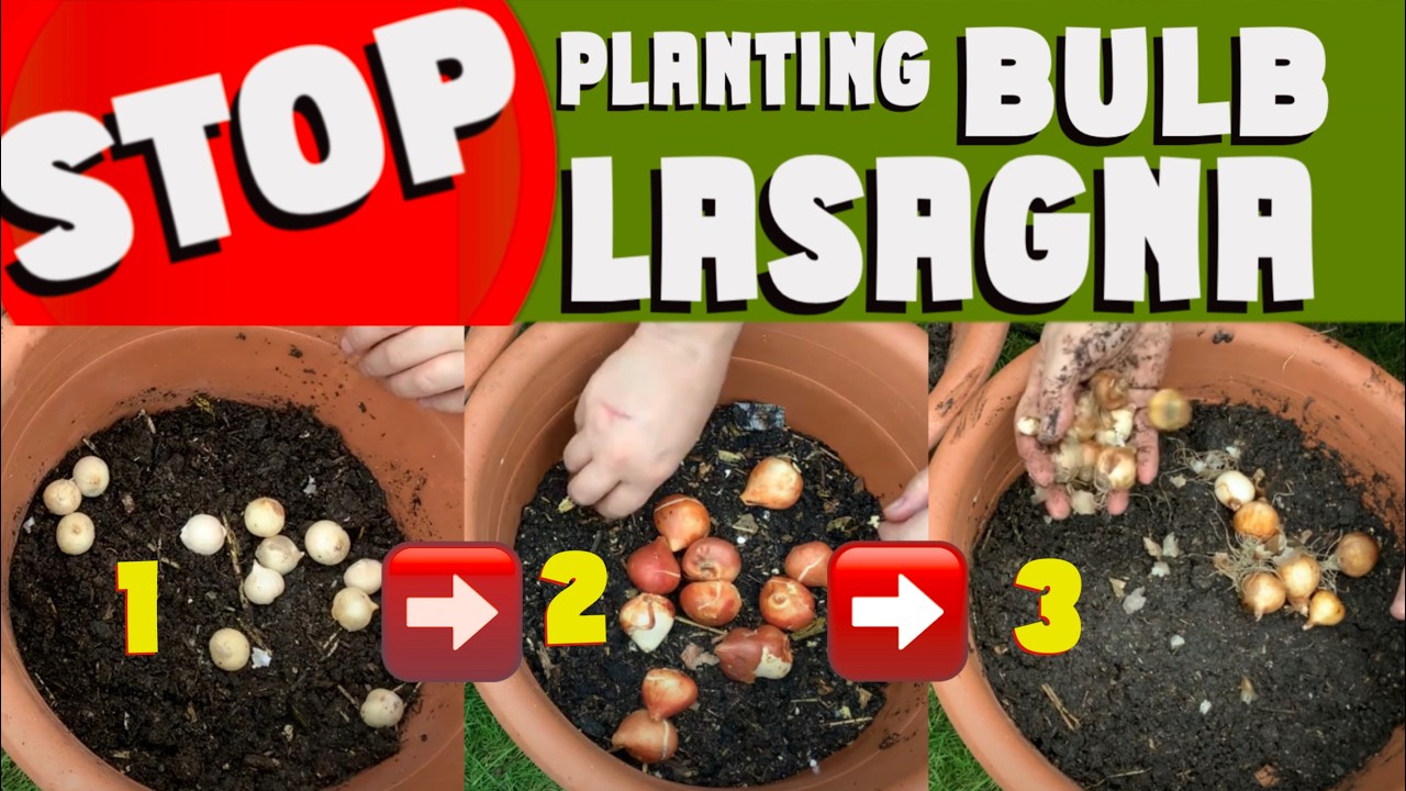 STOP planting AUTUMN BULBs like this. Watch this video and I'll explain why. #bulbplanting