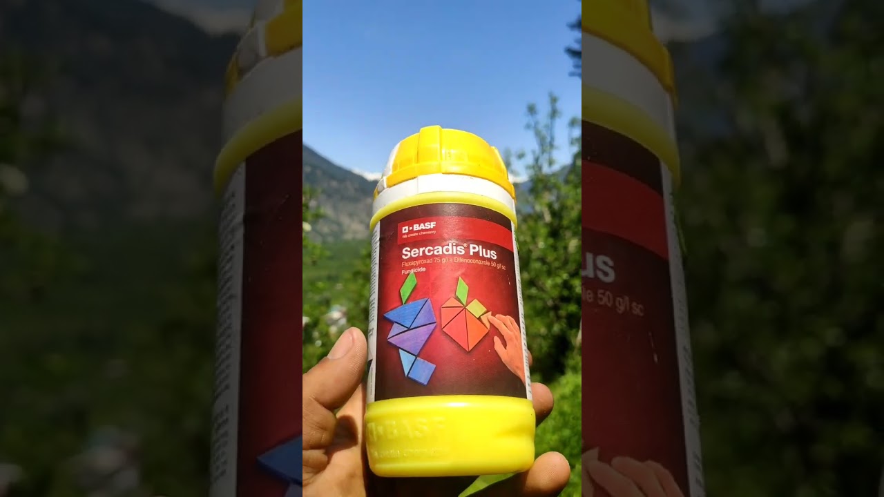 Petal fall spray schedule |Sercadis plus+ uriya + boron | Episode_ 80