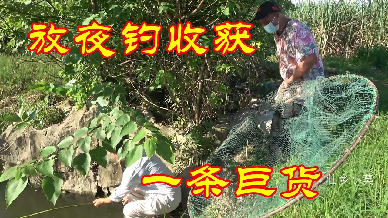 放夜钓收获一条巨货，现场直接扒皮吃，味道太赞了 #2024新农人计划