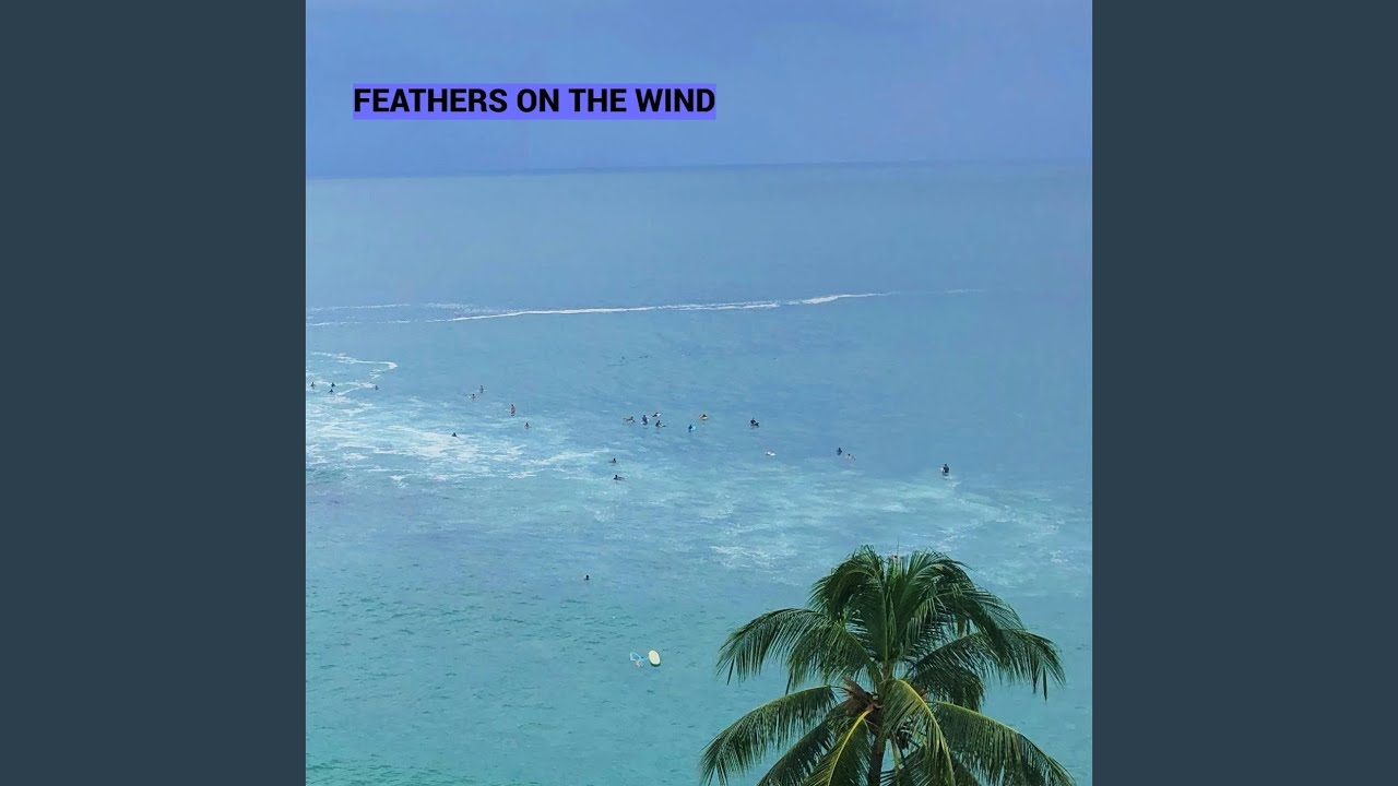Feathers on the Wind