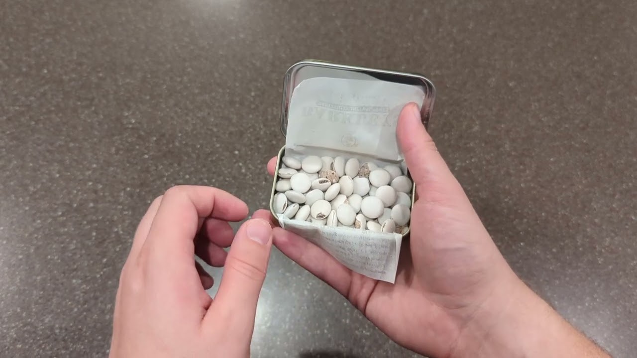 Watch Before Buying - Barkleys Chocolate Breath Mints - Strong Peppermint Flavor #Ad