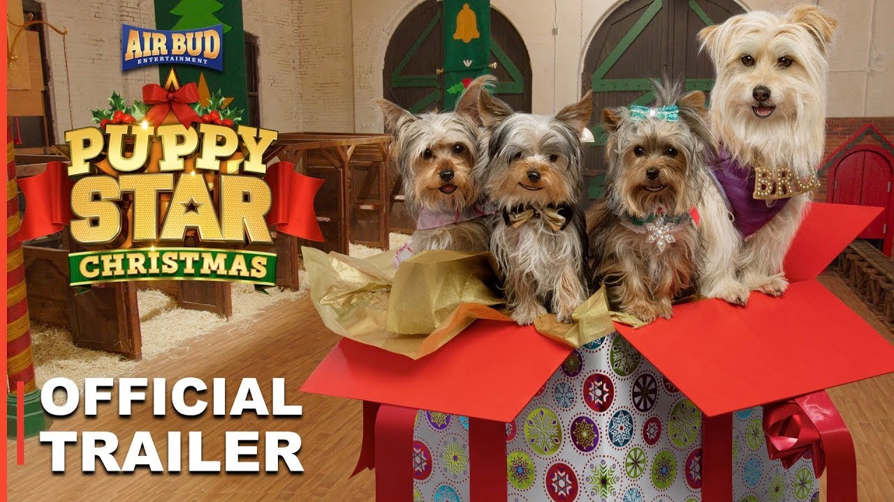 Puppy Star Christmas | Official Trailer | Now On Netflix