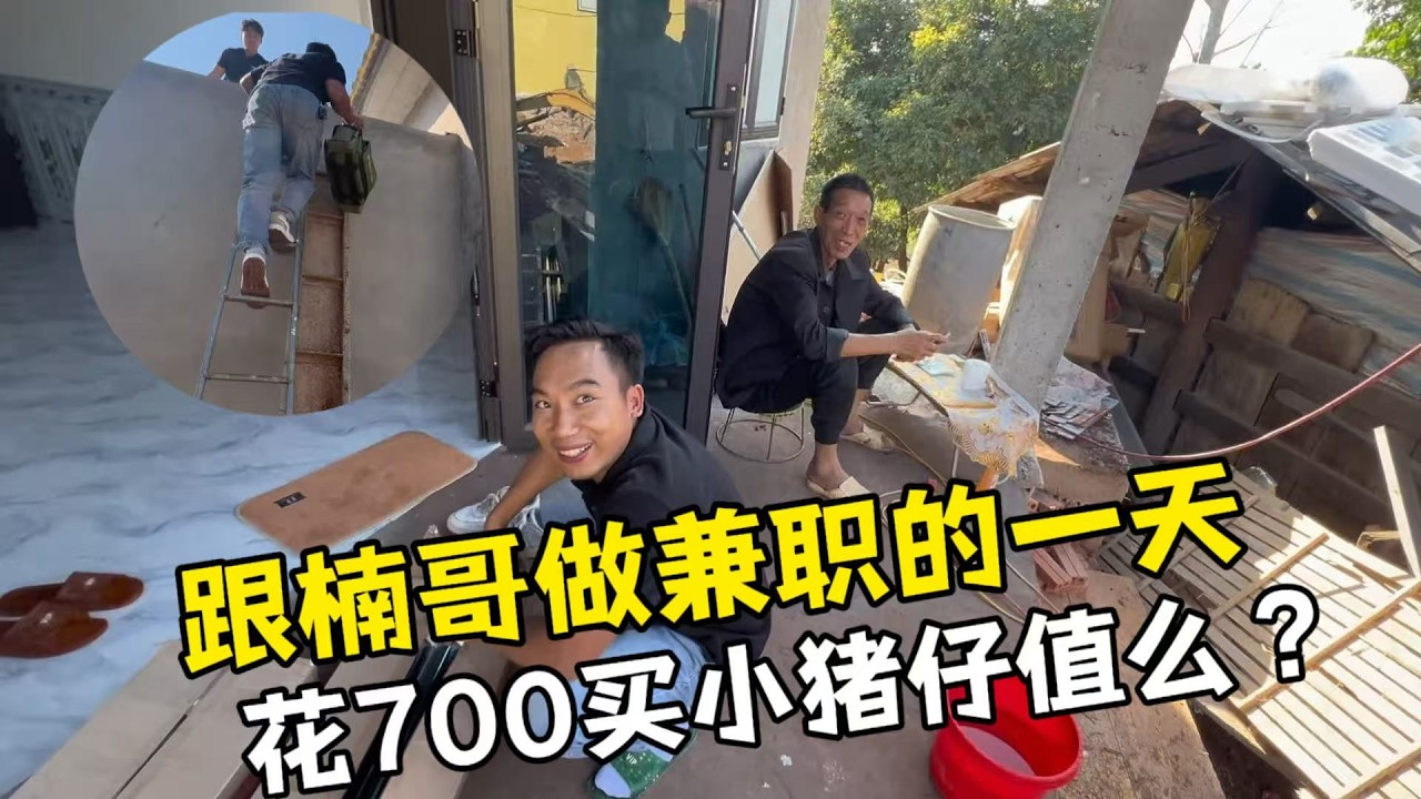 【越南媳婦阿荷】和小舅子一起跟著南哥下班兼職，實拍南哥高能量的一天！ 700買頭小豬仔值麼？