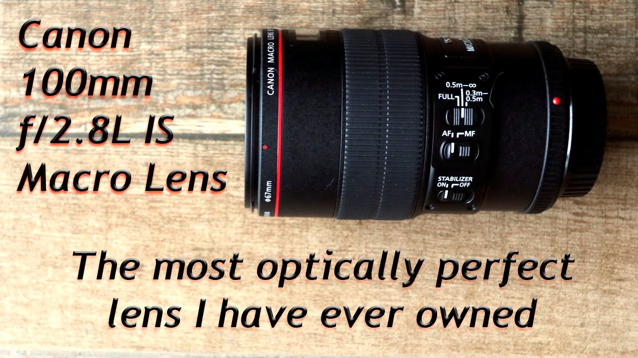 Обзор макрообъектива Canon EF 100mm f/2.8L IS