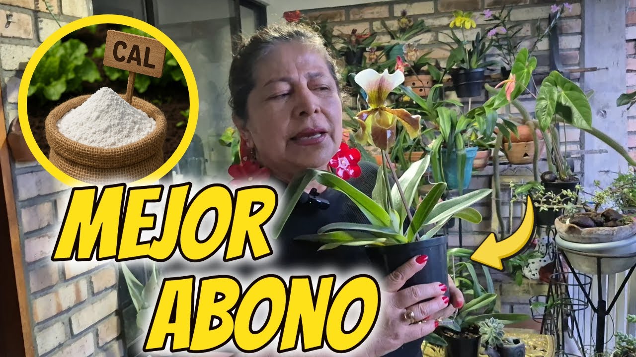 ABONO UNIVERSAL| el mejor ABONO para mis ORQUIDEAS| Concurso para ganarte la siguiente orquídea.