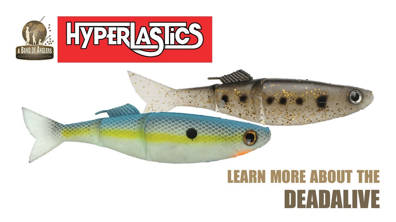 Learn More About The Hyperlastics DeadAlive
