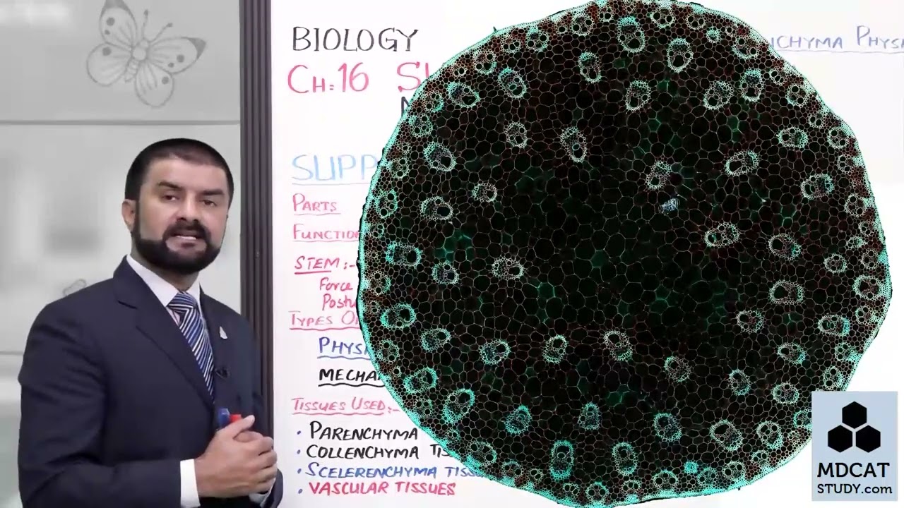 CLASS:12 CH:02 LEC#2 SUPPORT IN PLANTS.mp4
